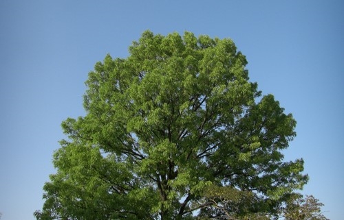 美容師と毛髪診断士による 髪の毛のこと